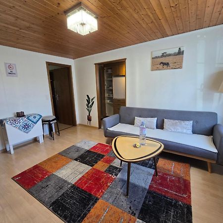 Apartmán Garden Eden Freienbach Exteriér fotografie